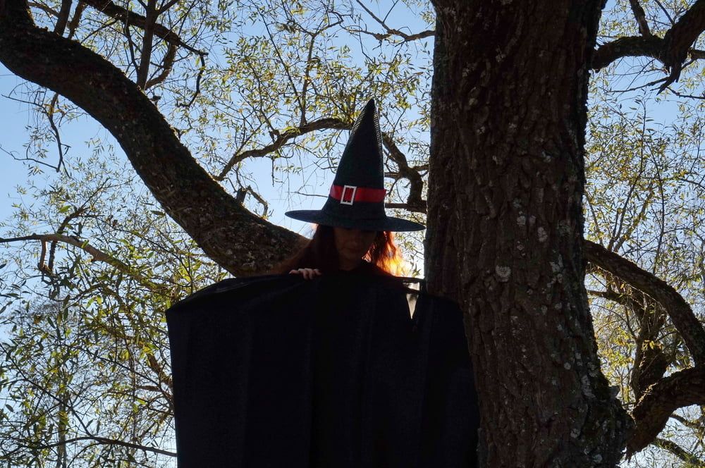 Witch on the Tree #13