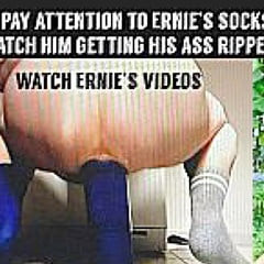 Piggies asshole
