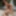 Amber and Dayne fuck a cock in a orgy