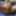  YOU WANT TO SEE HOW I MASTURBATE !!! #46