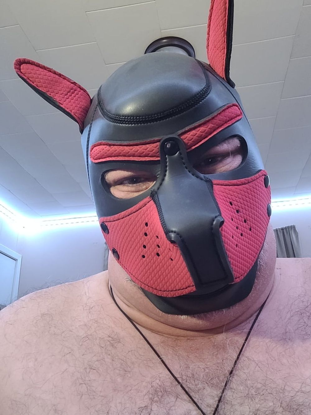 Woof! Masked Set #21