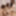 Mika Sumire &amp; HITOMI :: Swapping Wish Comes True - CARIBBEAN #18