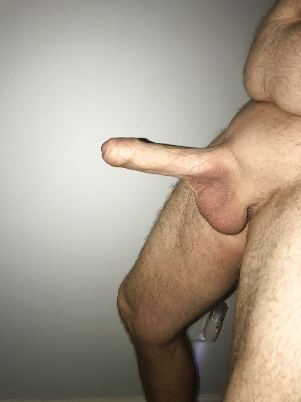 Cock #17