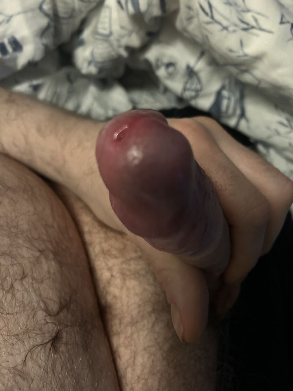 Cock #13