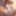 Furry bear nude on beach (ai models)