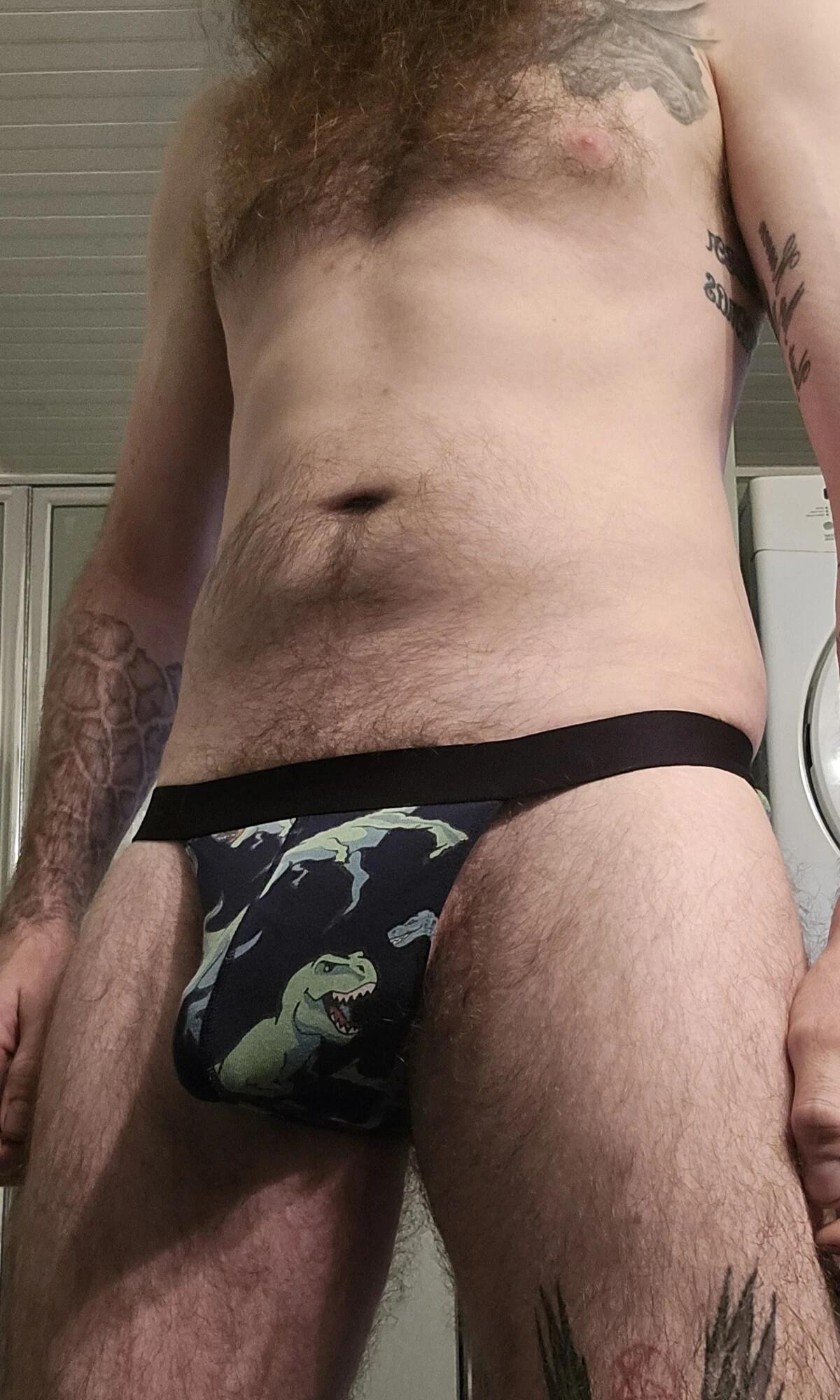T-rex 2