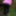 Pussy Torment and slapping in the woods #4