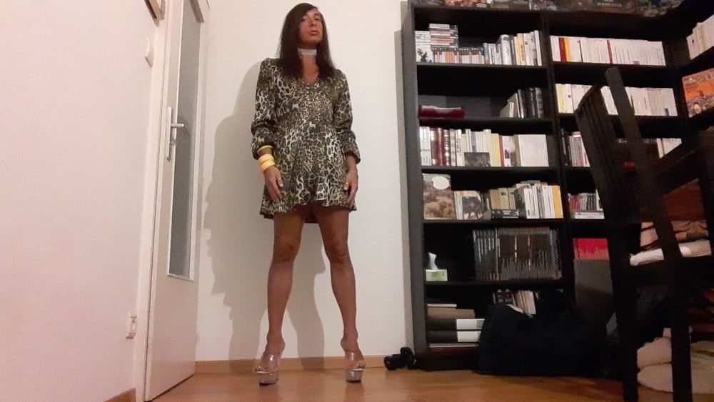 Sissy Tygra in leopard dress on 2019 octobre. #18