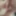 Lift! stripchat.com hotdadbod #4