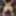 Lonely brunette girlfriend takes some hot nudes