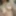 Babe Body Close ups
