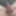 Cock Pictures #20 i cant stop doing Pictures! #8