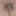 LOktober 17, 2023. Daily duty of the naked slave #6