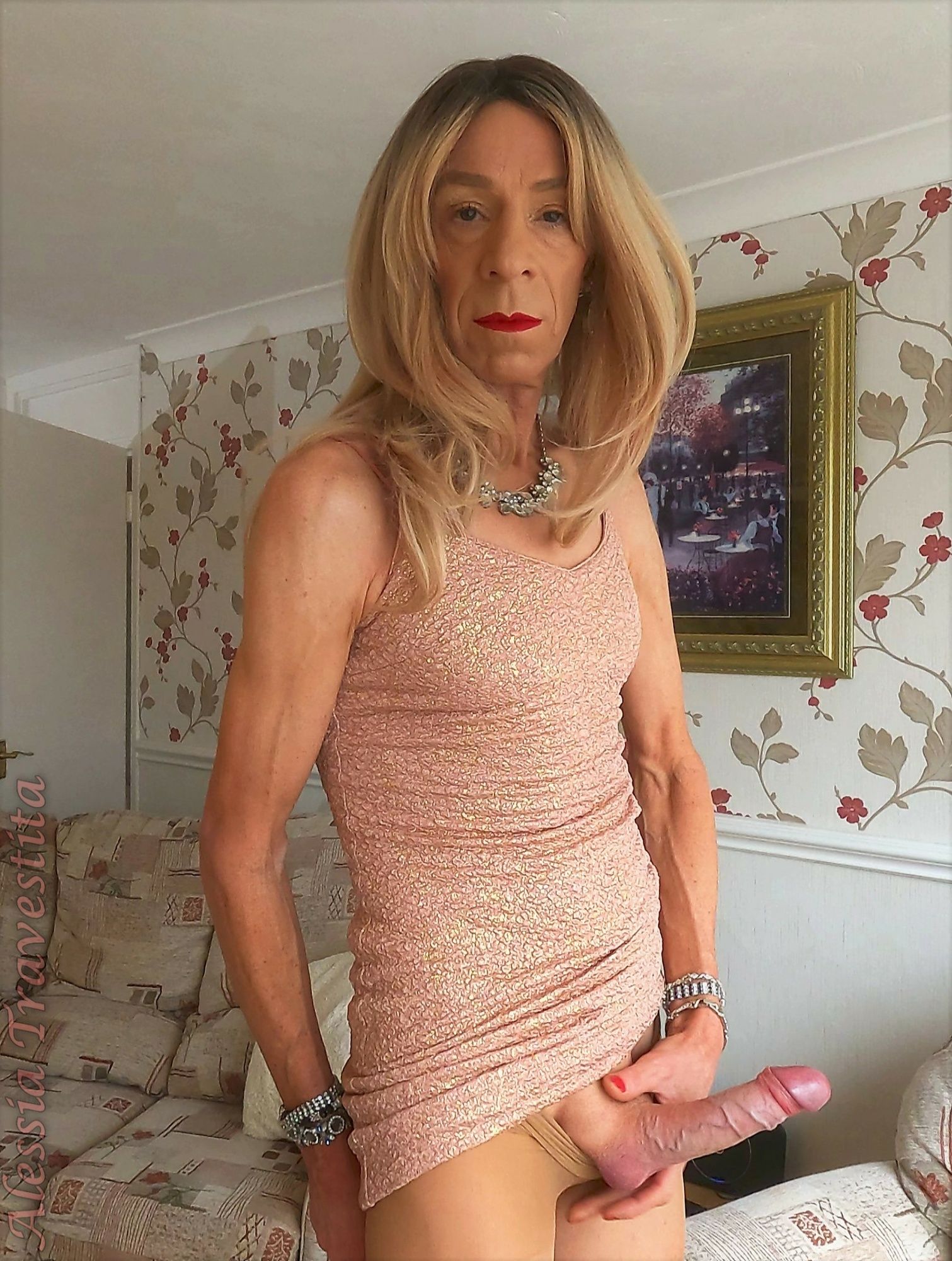 83 Alessia Travestita in Fawn Glitter Dress