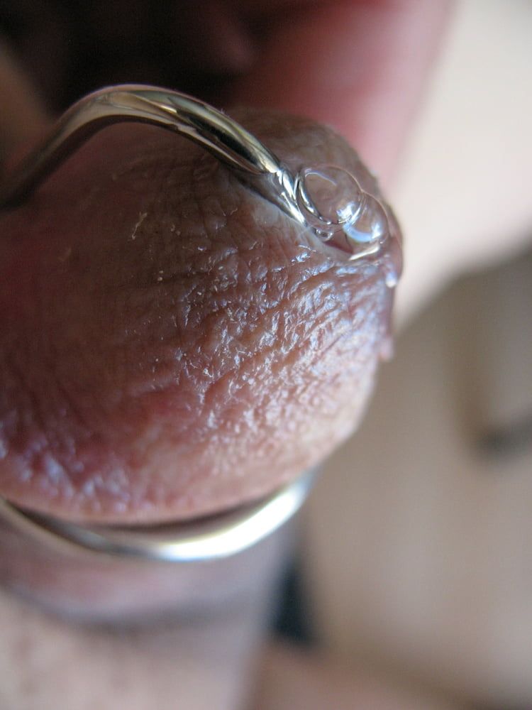 More steel in my cock with glans ring #31