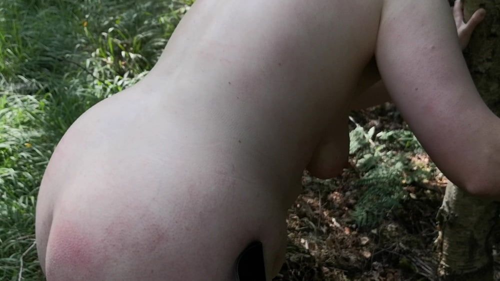 Naked Tits and Ass whipping in woods #31