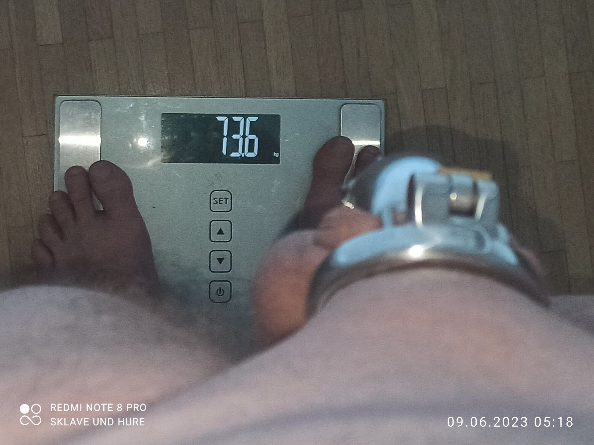 weighing, cagecheck rituals 09.06.2023 #13