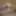 Febrero 2019 part 4