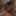 Christmas cumshot 
