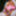 Boner and pink Suspender Belt at public Nudist Lake #33