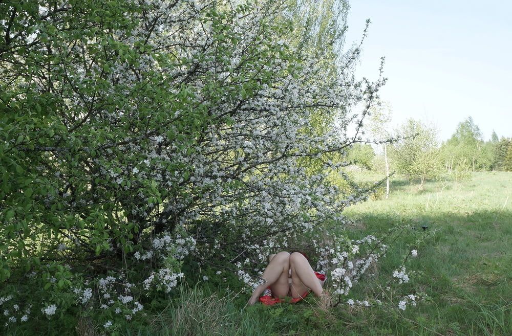 In White Flowers