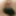 Tits n Pussy 41