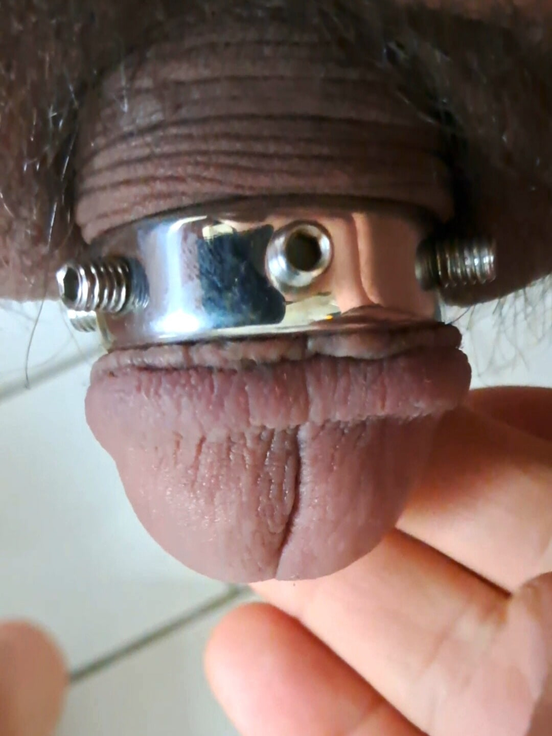 my split glans #8
