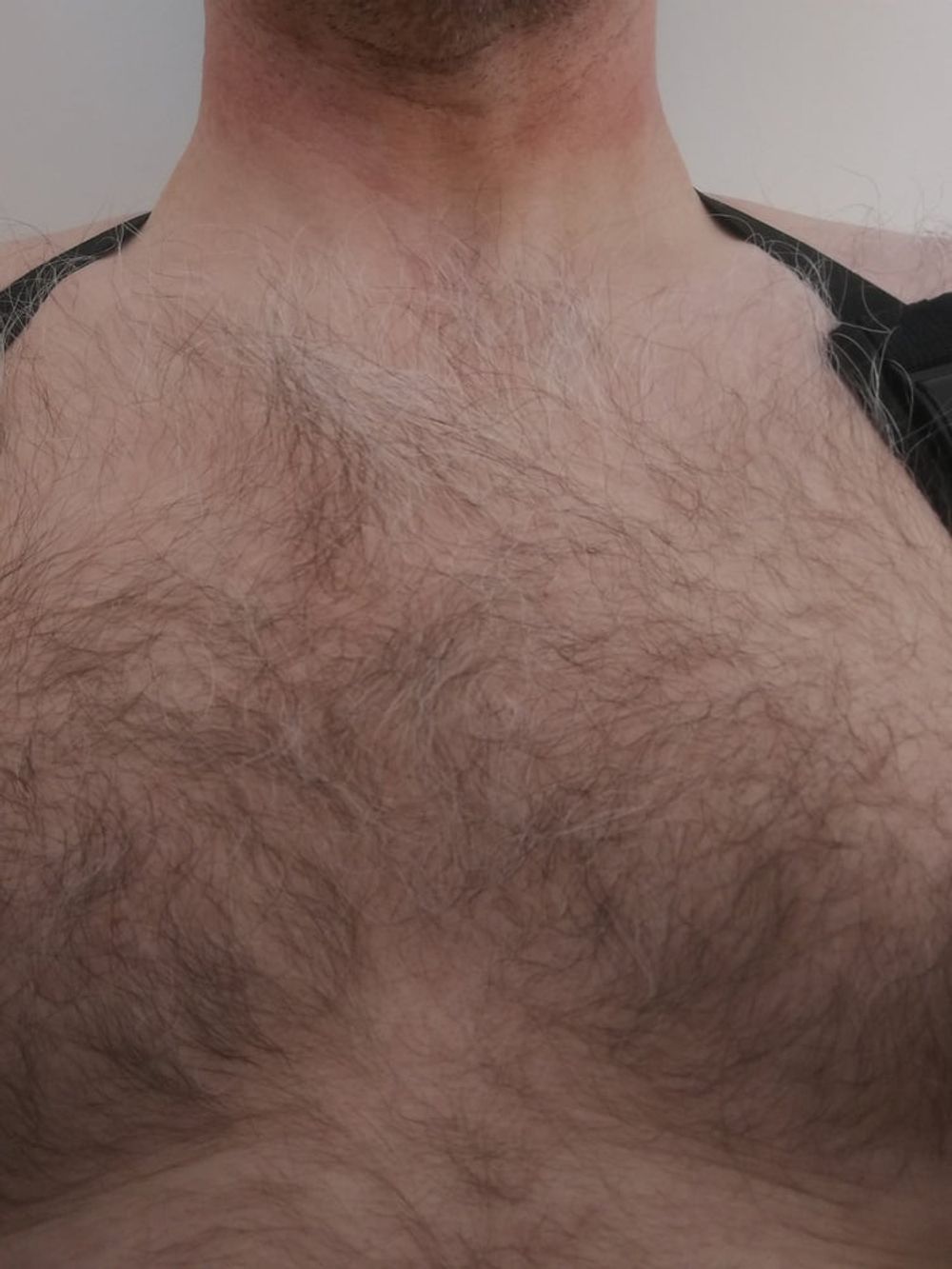 hairy gay #5