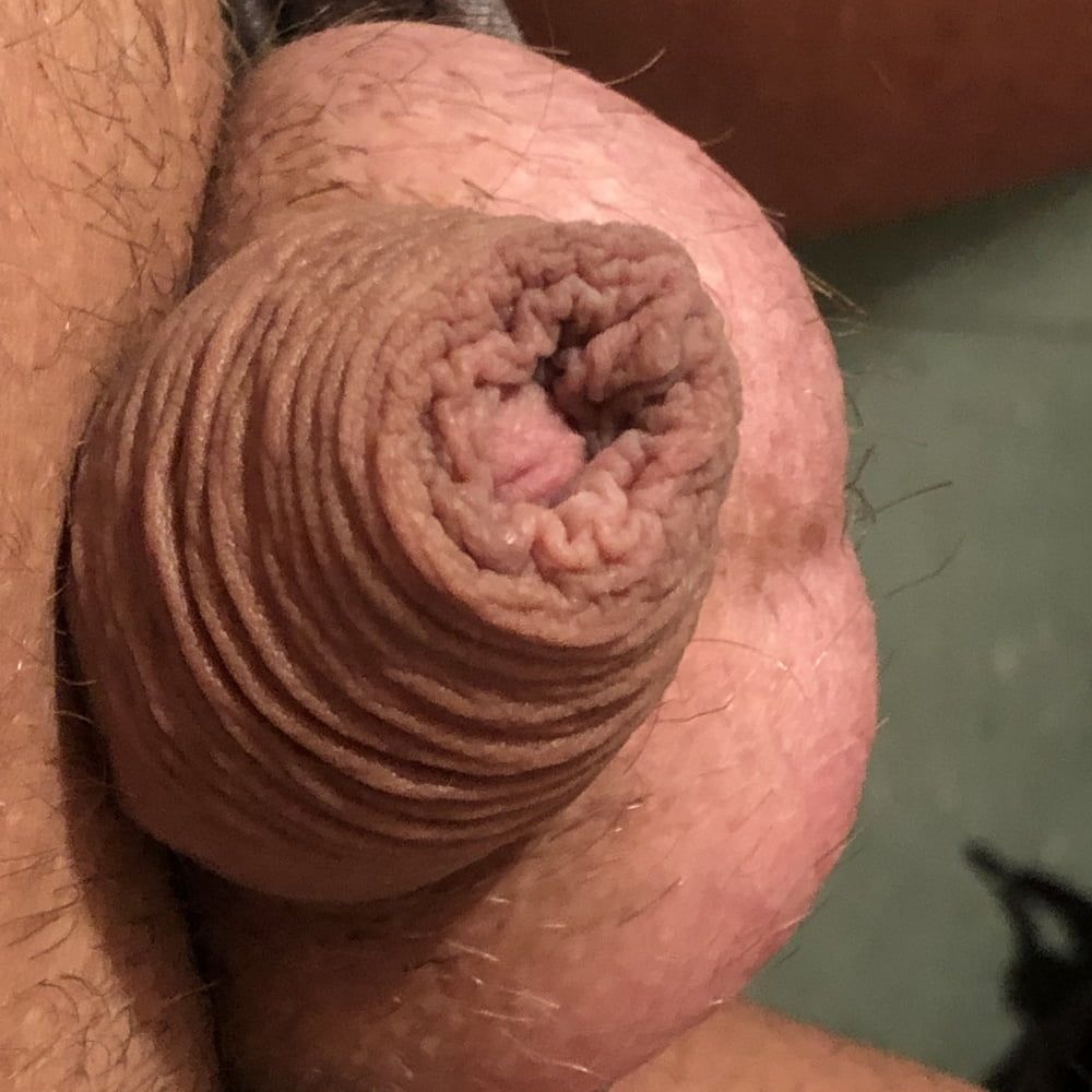 my little cock #51