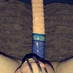 Chastity cage 