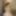 I will show you much more soon