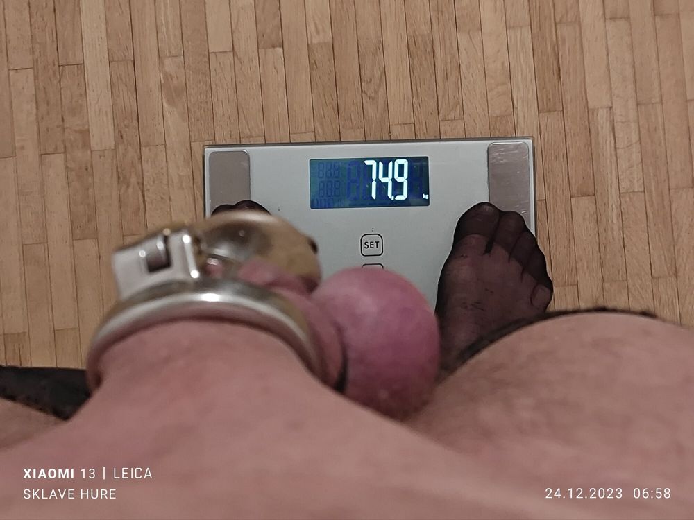 Mandatory weighing cagecheck plugcheck December 24, 2023 #15