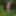 Wanking in the woods #10