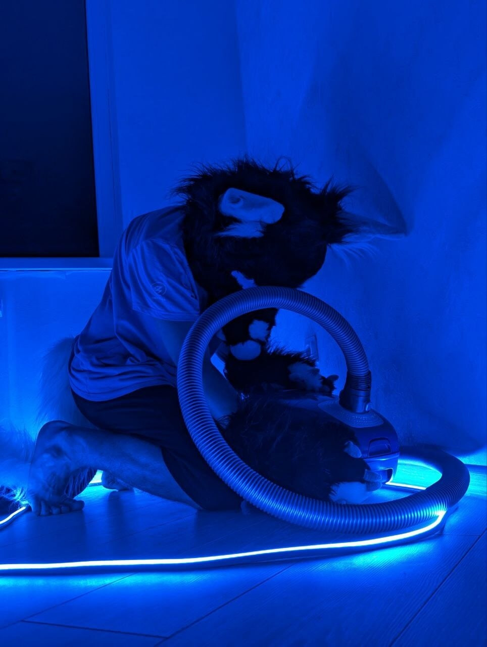 VacFurrDemon66 Fursuit #9