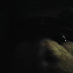 Tease 