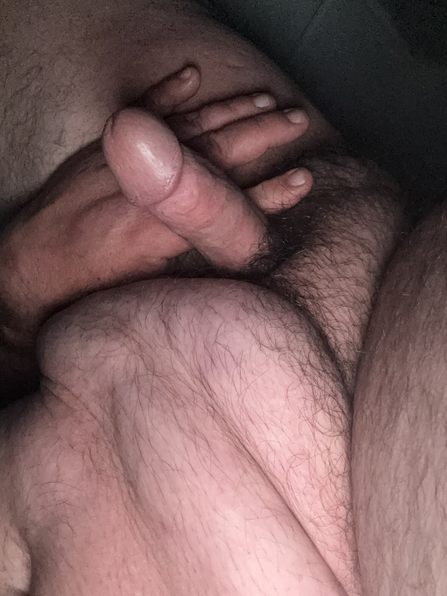 BrewsterBear Again #56