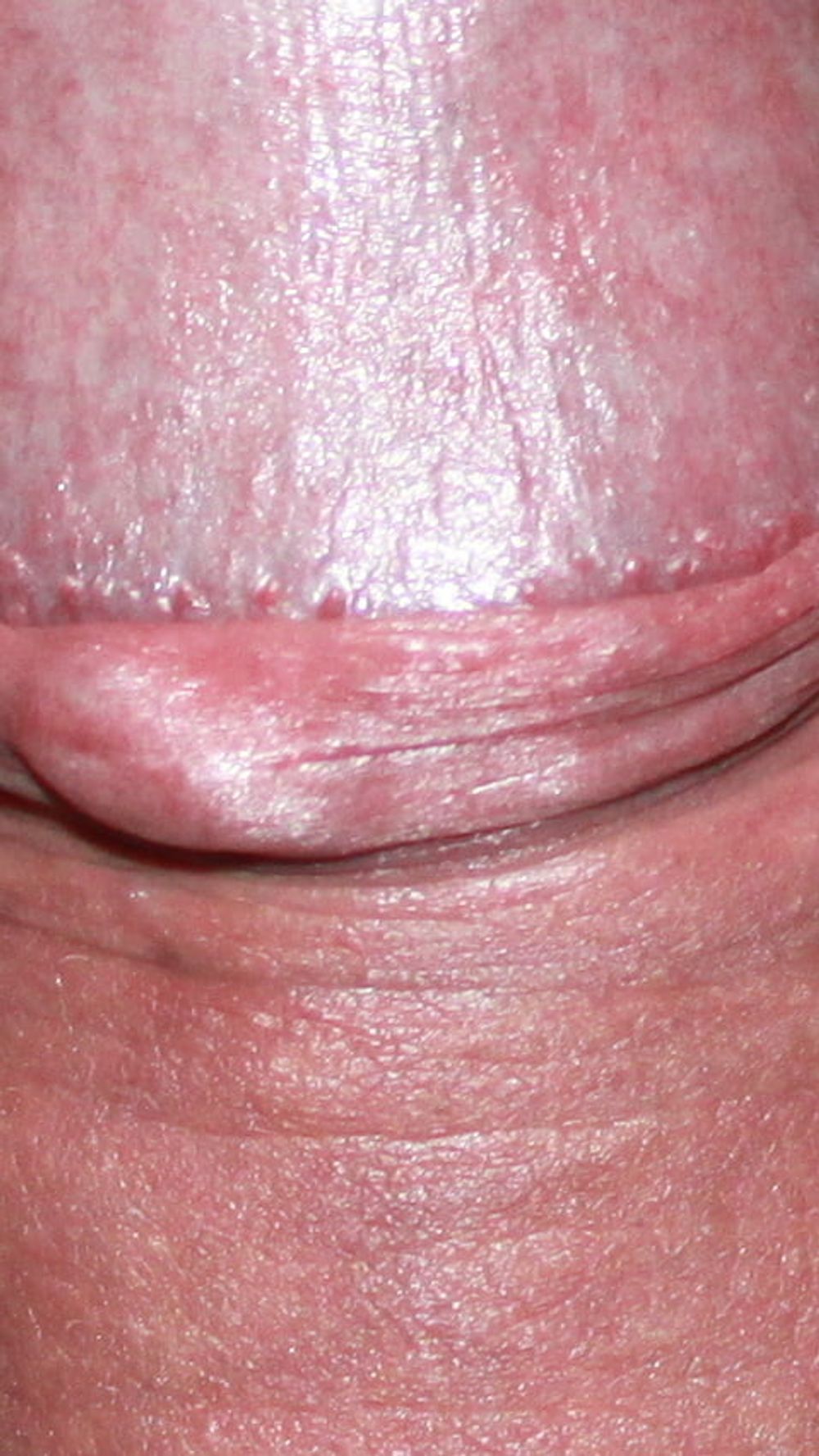 Close up dick