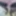 Nylons, und