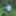 Satin panties in the woods #18