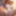 Furry bear nude on beach (ai models)