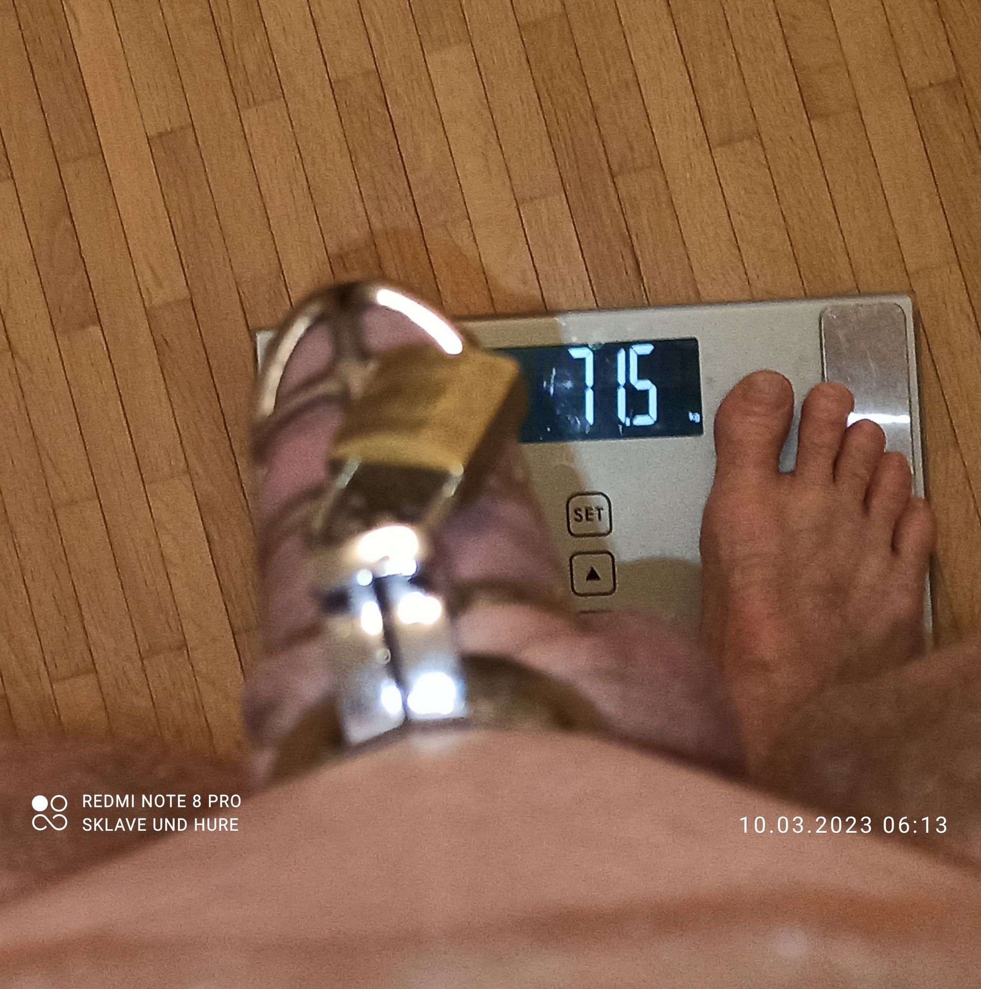 mandatory weighing and cagecheck of 10.03.23 #6
