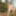 Matti am Waldrand und Felsen, Shaved Gay #3