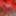 Shaved Smooth Clit in See Through Bodystocking Pantyhose  #4