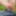 Outside pics 2021. #20
