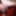 Greatest GIFs from Sexy Slut Evelina 44
