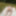 Teaser of body before today&#039;s stream #6