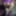 VioletBiTCH💜 Robe Resille Violette Full CAM4 VaneSsaBarBie #38