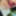 Facial Cumshots on Tobie Nash's Beautiful Face Part II! #4