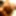 PICS HUGE DICK BIG COCK CUM LOAD 