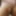 MY ASS AND ASSHOLE,  TOYS, AND ME NUDE #4